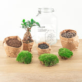 {{ product.title }} | Flora Cadeau