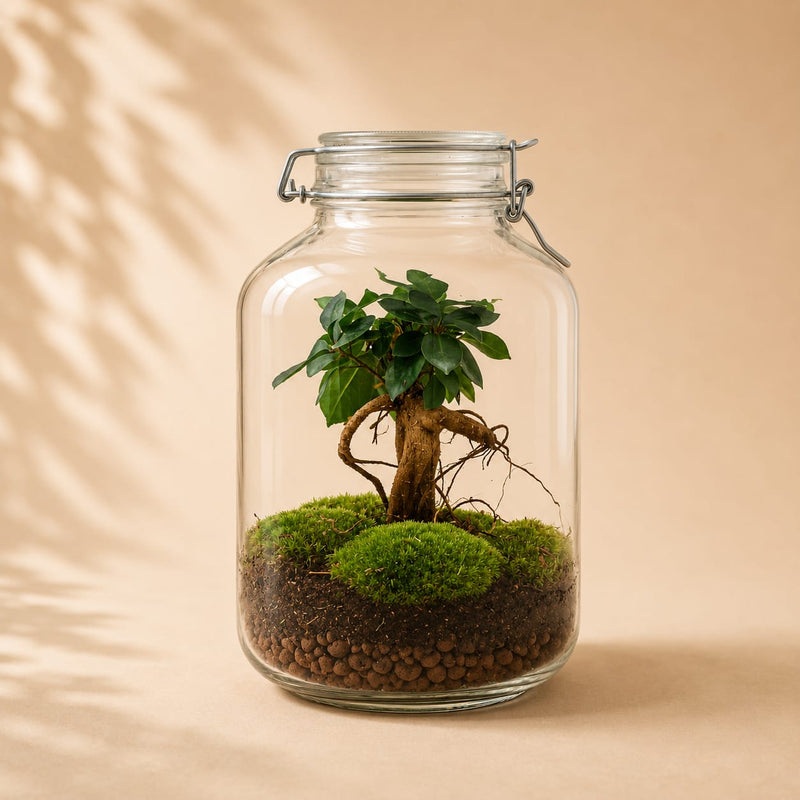 {{ product.title }} | Flora Cadeau
