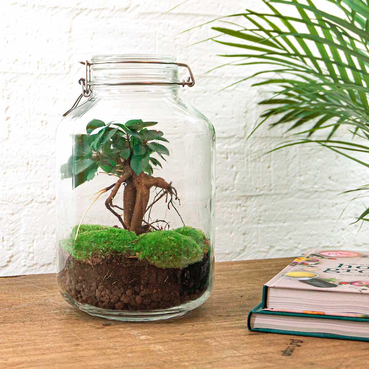 {{ product.title }} | Flora Cadeau