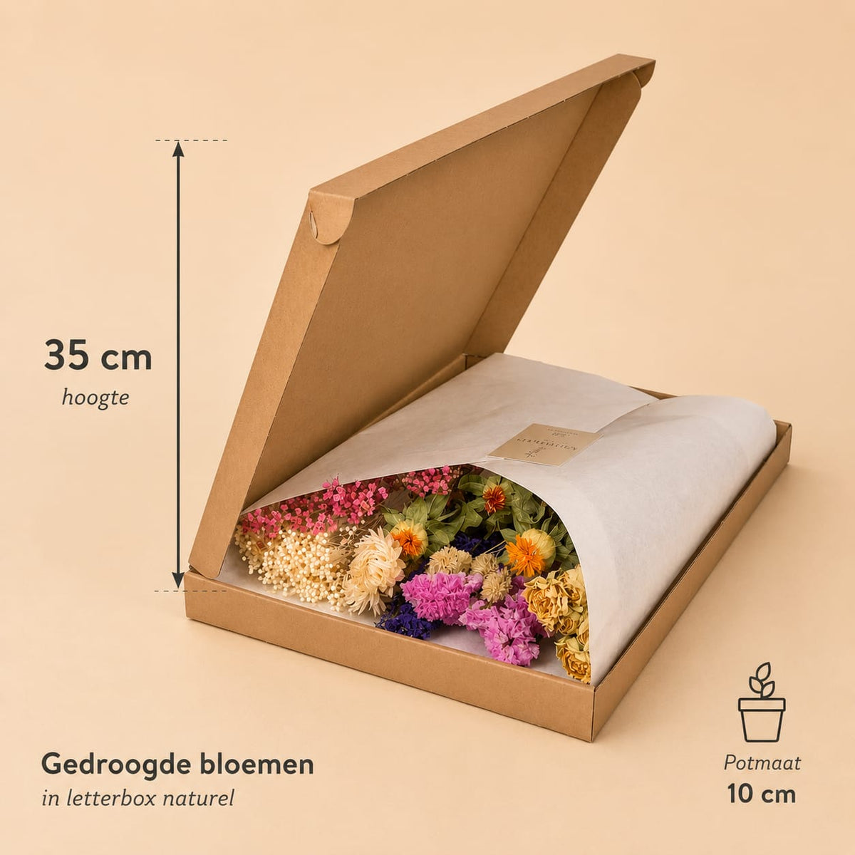 {{ product.title }} | Flora Cadeau
