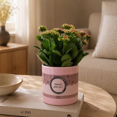 {{ product.title }} | Flora Cadeau