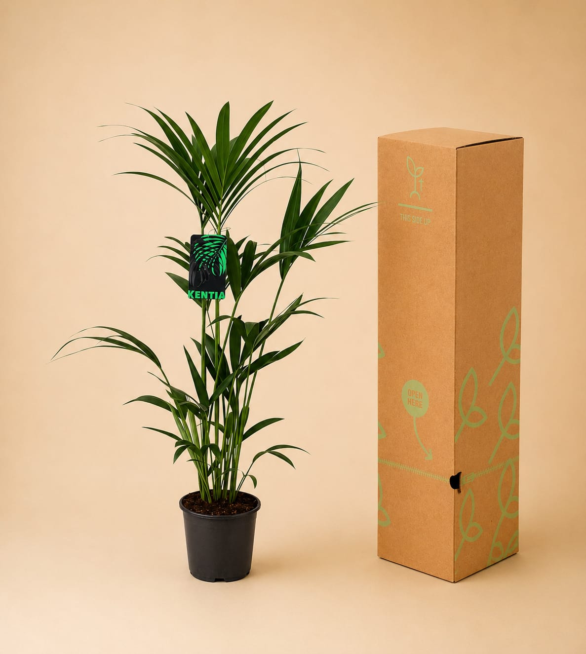 {{ product.title }} | Flora Cadeau
