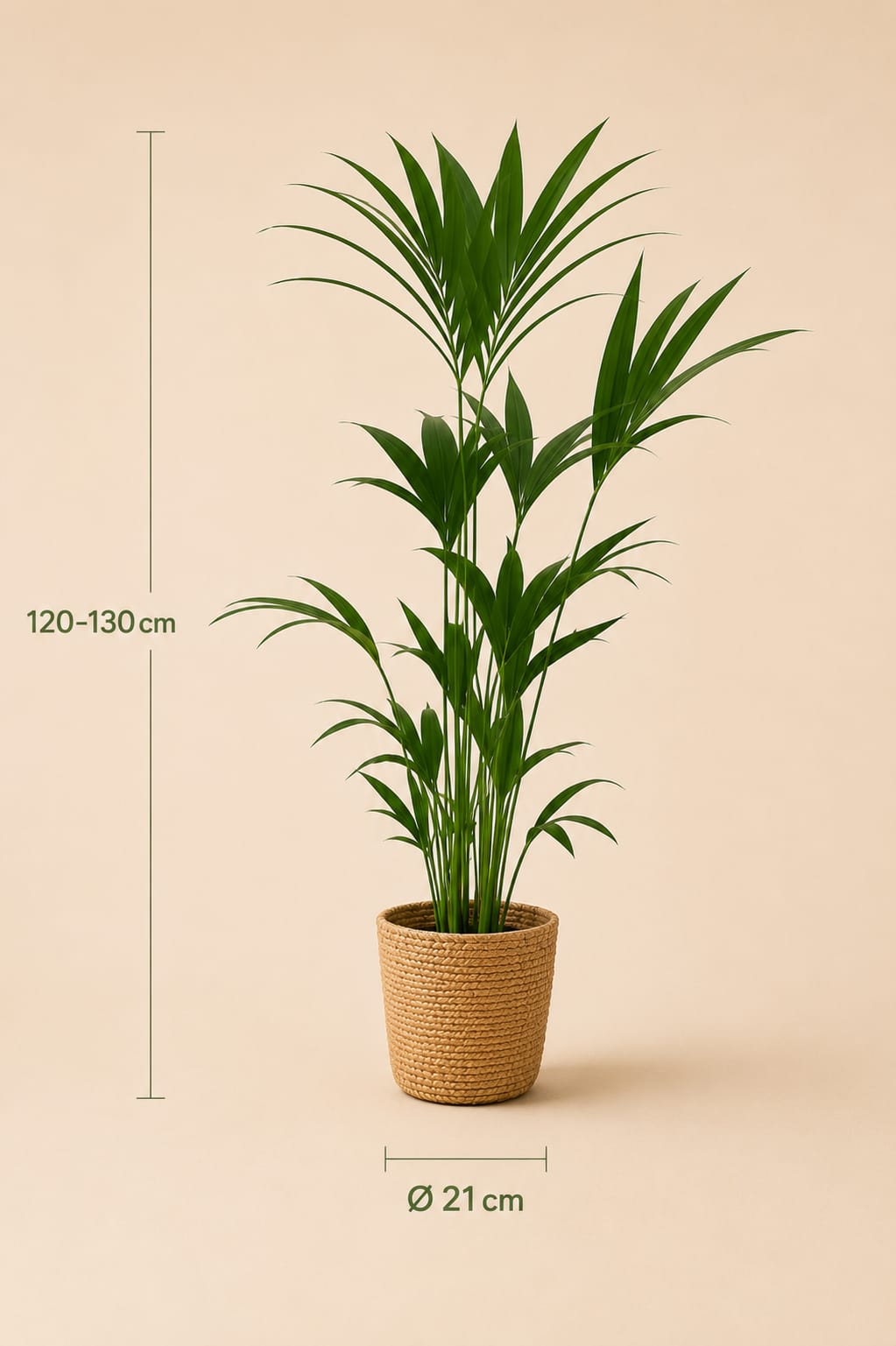 {{ product.title }} | Flora Cadeau