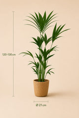 {{ product.title }} | Flora Cadeau