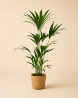 {{ product.title }} | Flora Cadeau