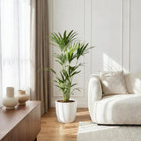 {{ product.title }} | Flora Cadeau