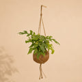 {{ product.title }} | Flora Cadeau