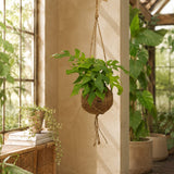 {{ product.title }} | Flora Cadeau