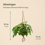 {{ product.title }} | Flora Cadeau