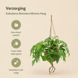 {{ product.title }} | Flora Cadeau