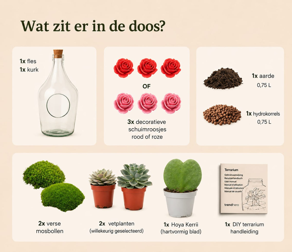 {{ product.title }} | Flora Cadeau