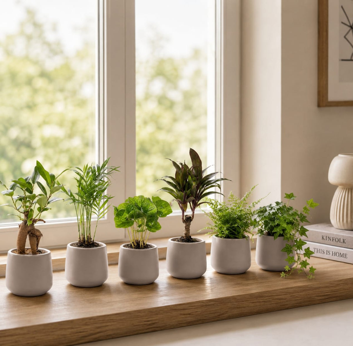 {{ product.title }} | Flora Cadeau