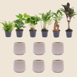 {{ product.title }} | Flora Cadeau