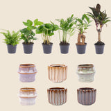 {{ product.title }} | Flora Cadeau