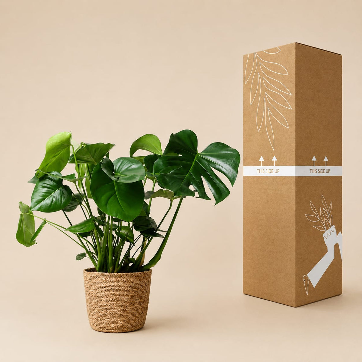 {{ product.title }} | Flora Cadeau