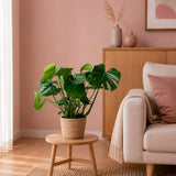 {{ product.title }} | Flora Cadeau