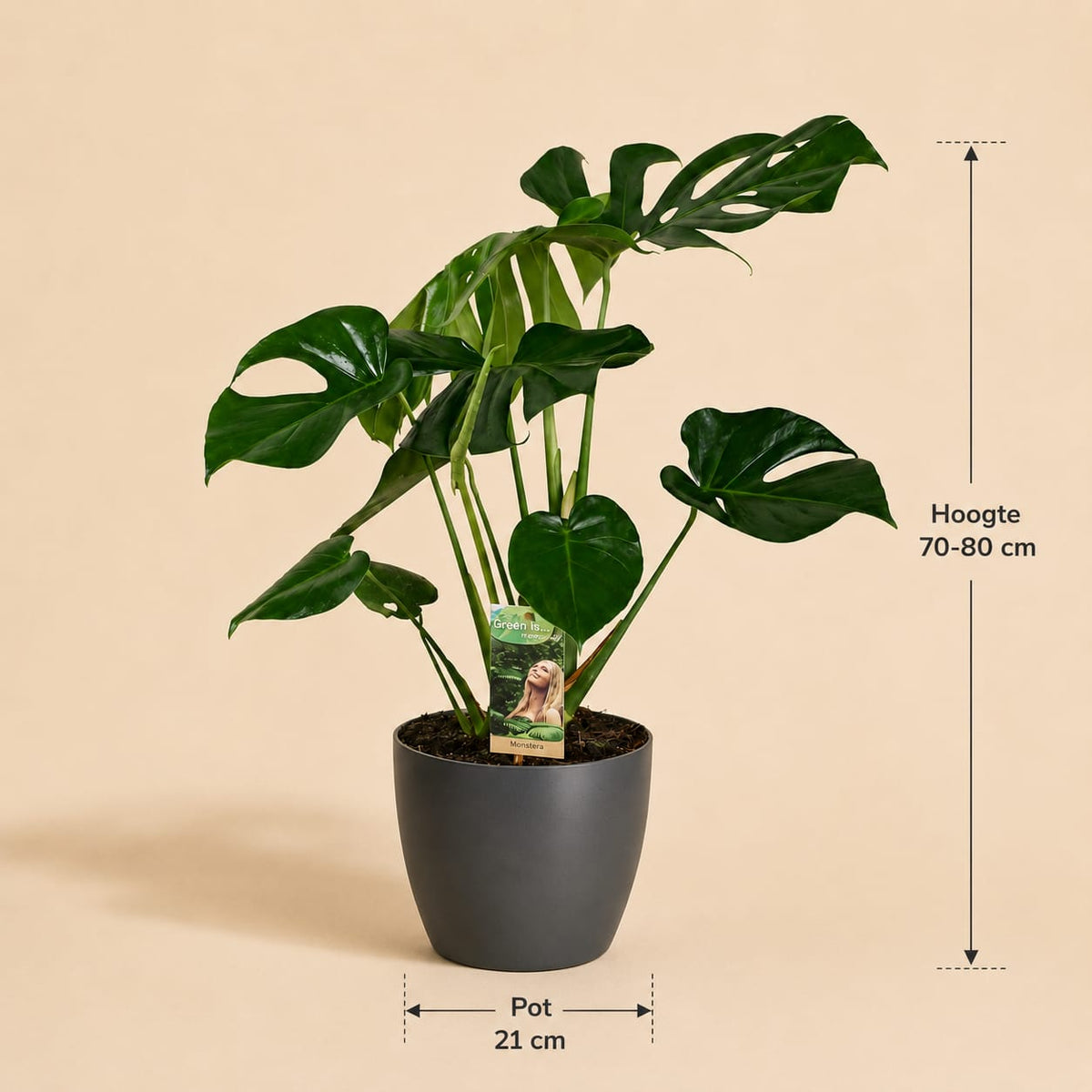 {{ product.title }} | Flora Cadeau