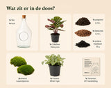 {{ product.title }} | Flora Cadeau