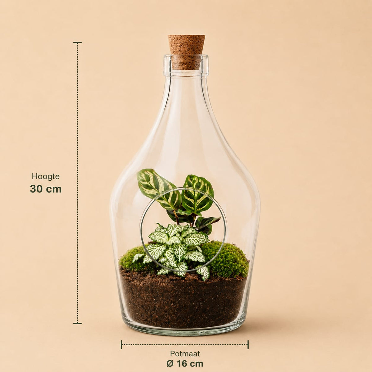 {{ product.title }} | Flora Cadeau