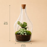 {{ product.title }} | Flora Cadeau