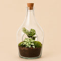 {{ product.title }} | Flora Cadeau