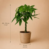 {{ product.title }} | Flora Cadeau