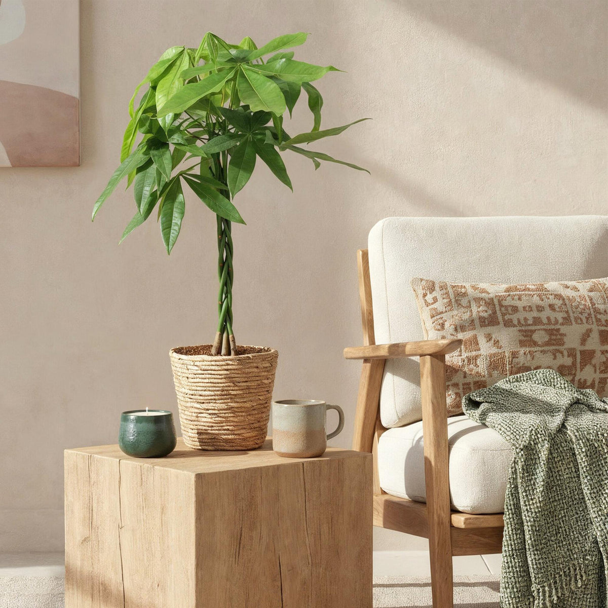 {{ product.title }} | Flora Cadeau