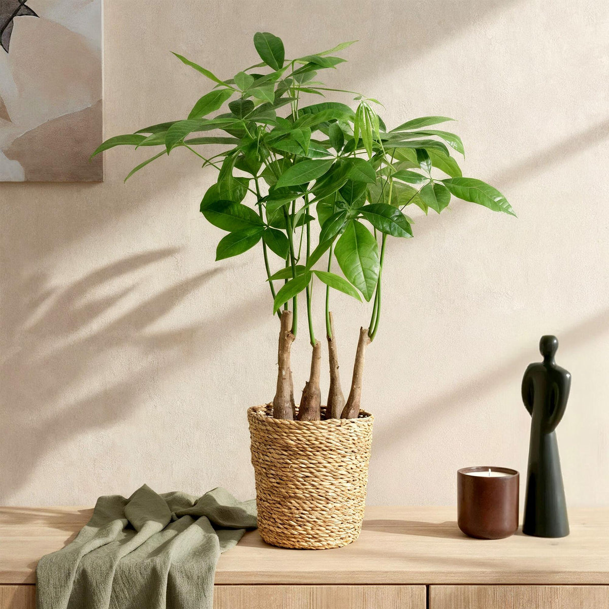 {{ product.title }} | Flora Cadeau