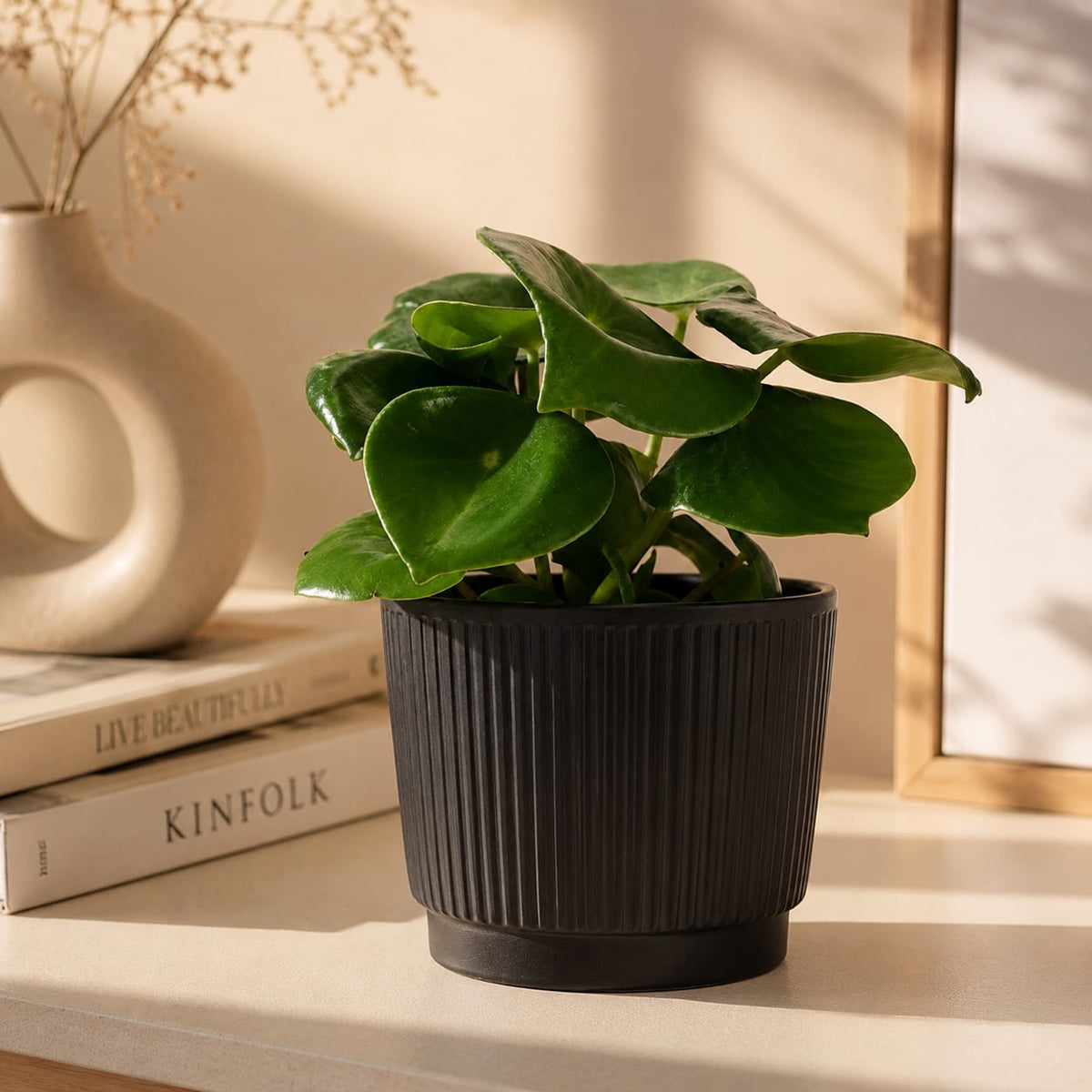 {{ product.title }} | Flora Cadeau