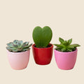 {{ product.title }} | Flora Cadeau