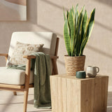 {{ product.title }} | Flora Cadeau