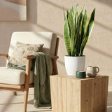 {{ product.title }} | Flora Cadeau