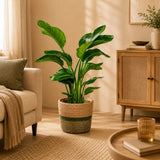 {{ product.title }} | Flora Cadeau