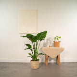 {{ product.title }} | Flora Cadeau
