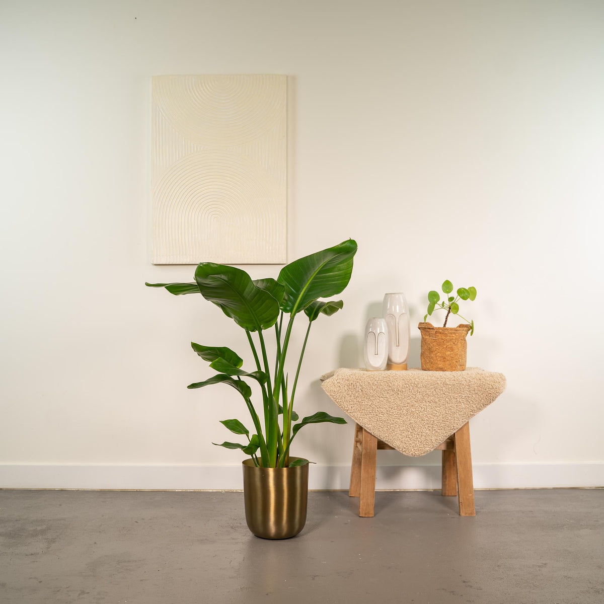 {{ product.title }} | Flora Cadeau