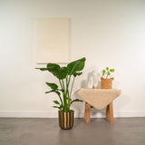 {{ product.title }} | Flora Cadeau