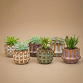 {{ product.title }} | Flora Cadeau