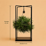 {{ product.title }} | Flora Cadeau