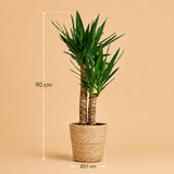 {{ product.title }} | Flora Cadeau