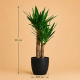 {{ product.title }} | Flora Cadeau
